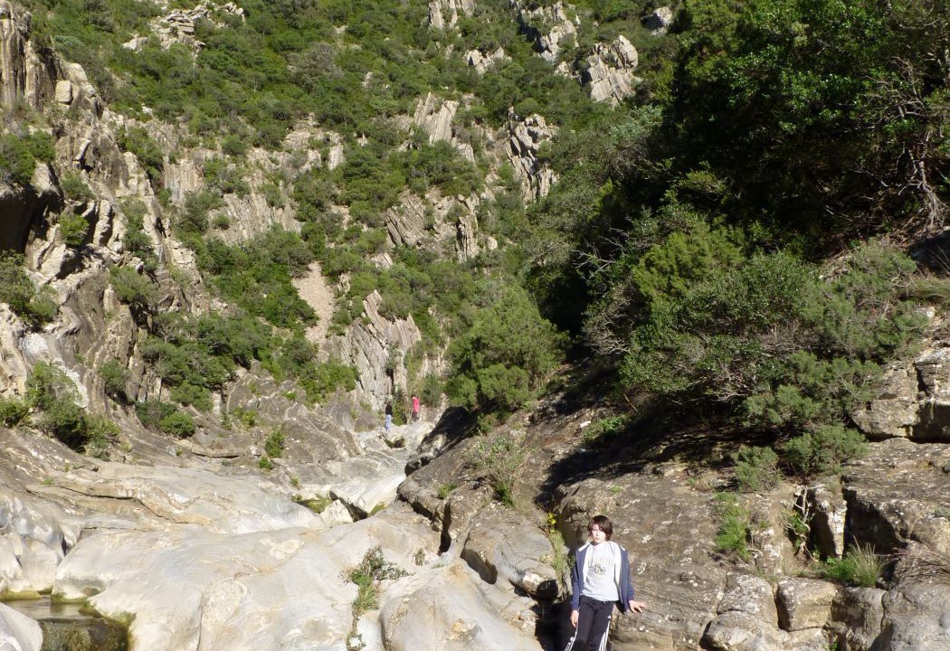 Photo of Others in Termes