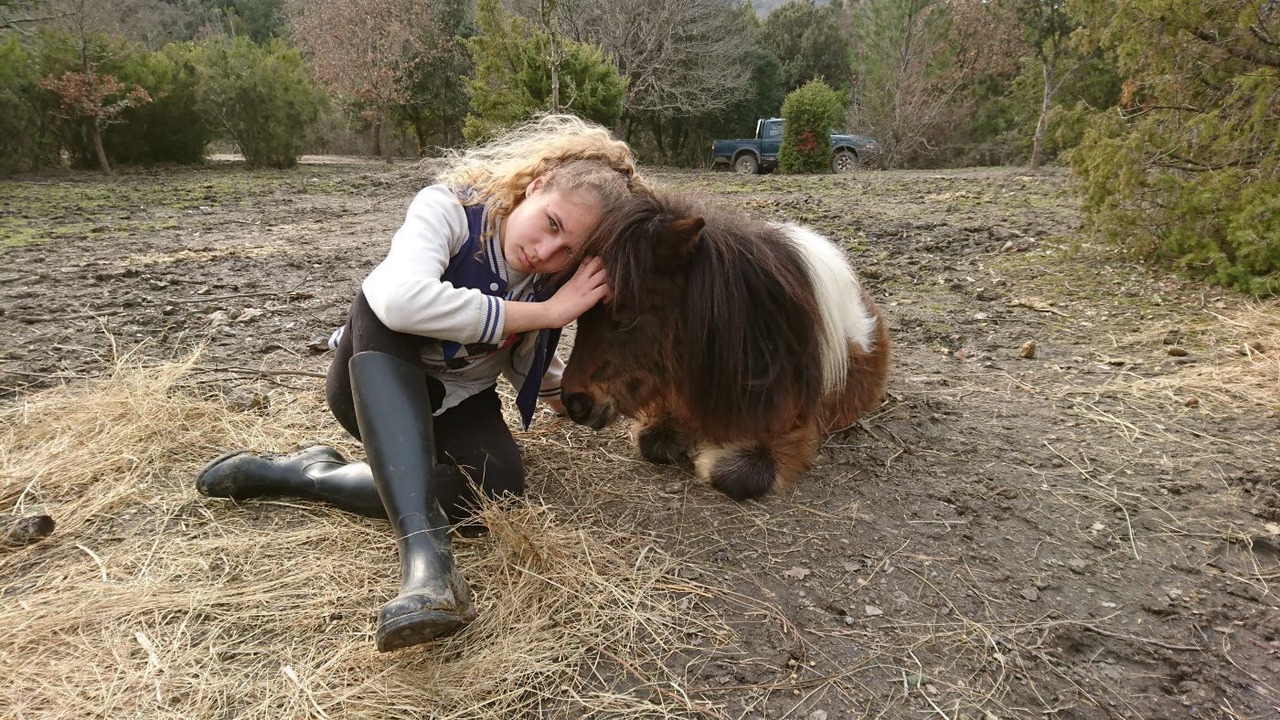 Photo of Others in Termes