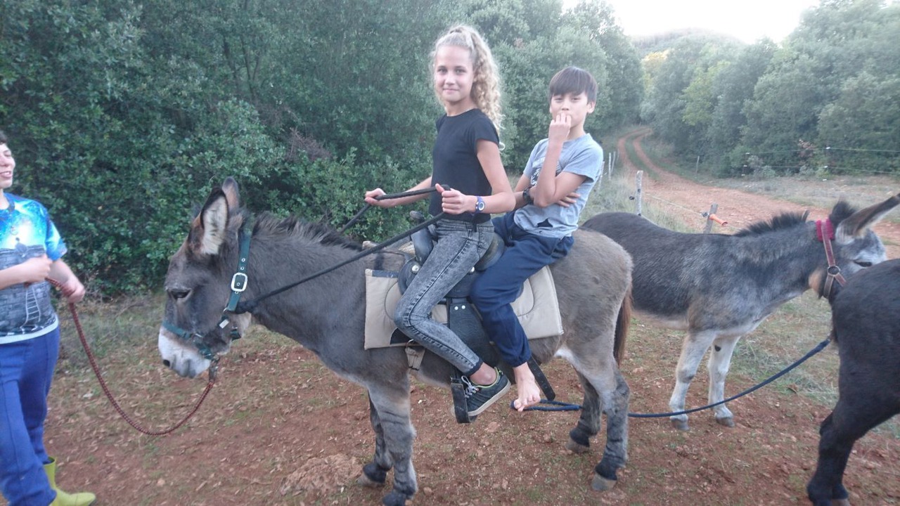 Photo of Others in Termes