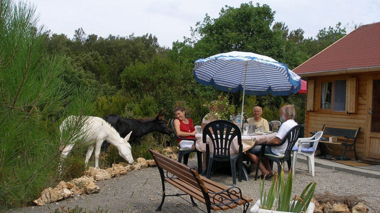 Photo of Outdoor in Termes