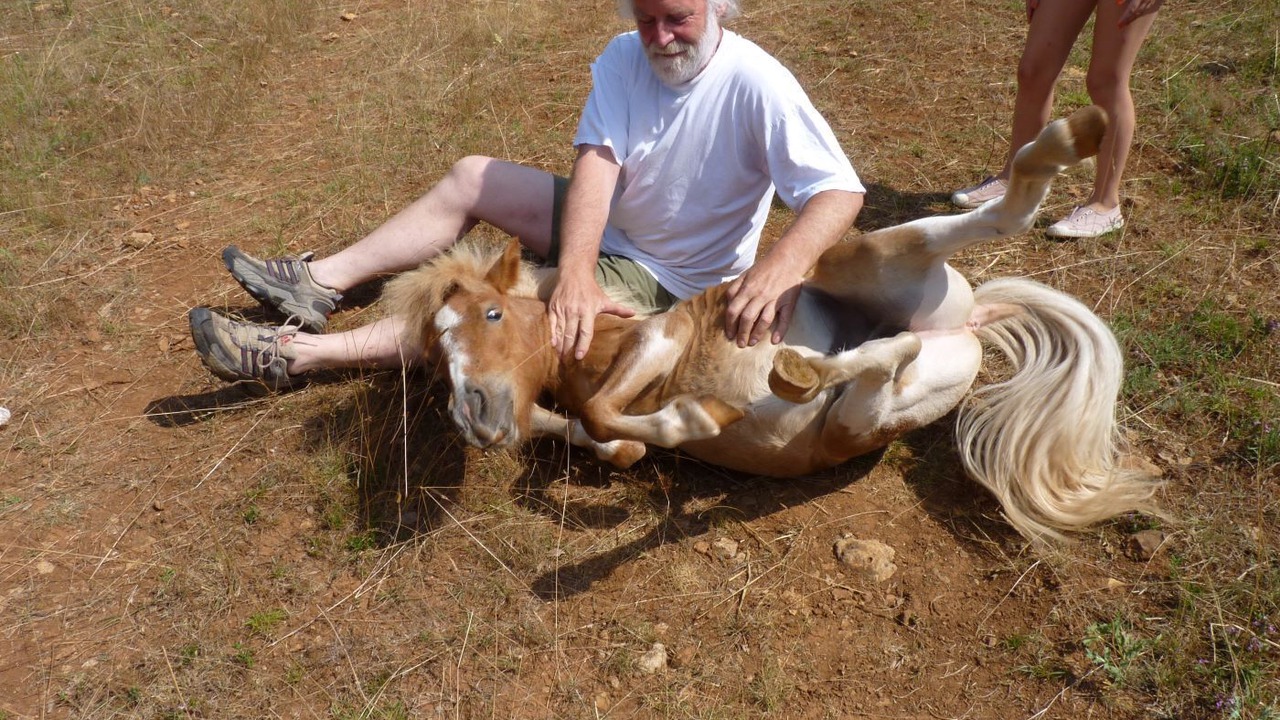 Photo of Outdoor in Termes