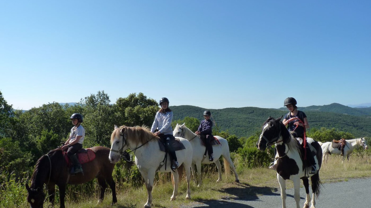 Photo of Others in Termes