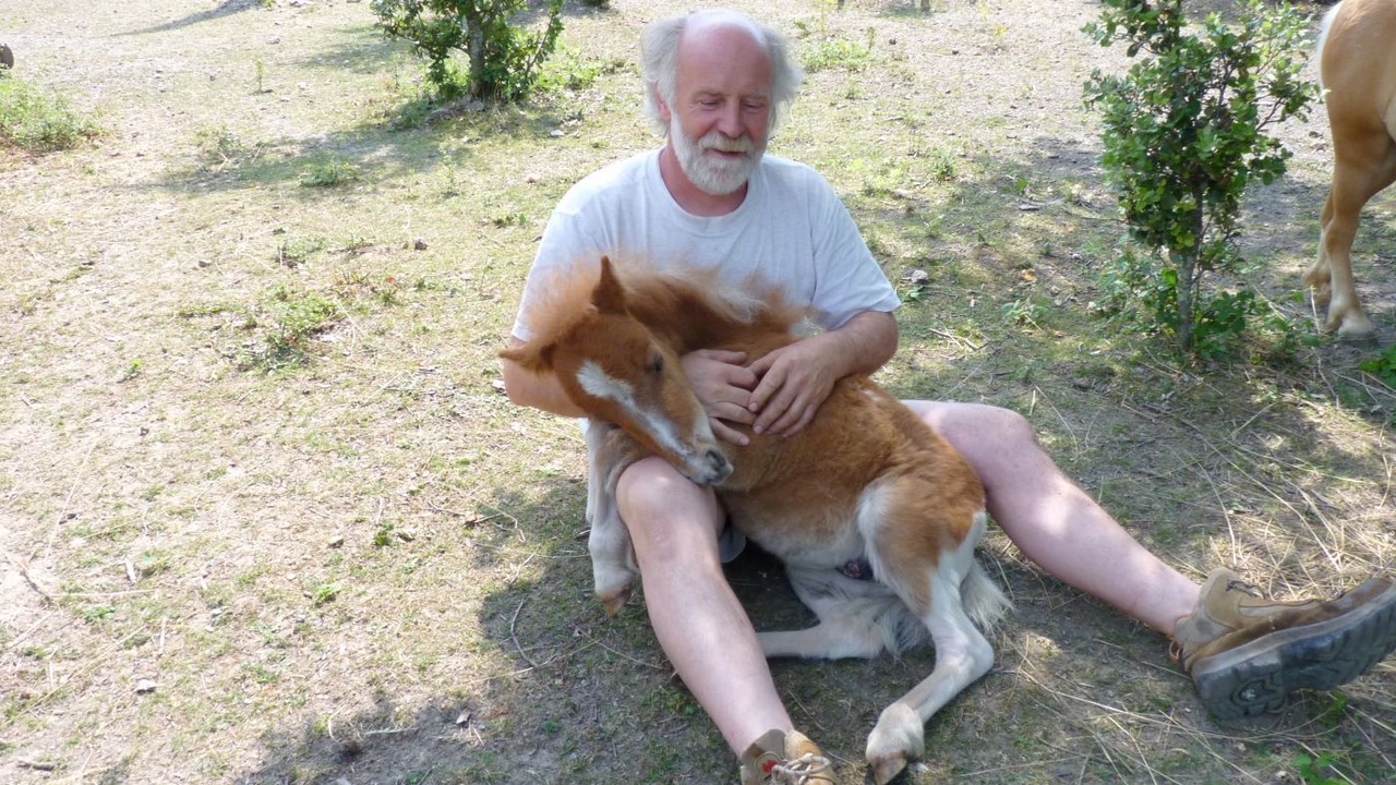 Photo of Outdoor in Termes