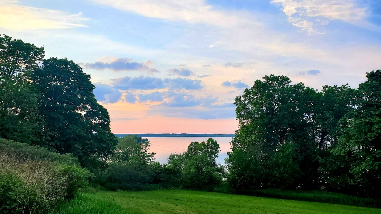 Photo of Others in Milford
