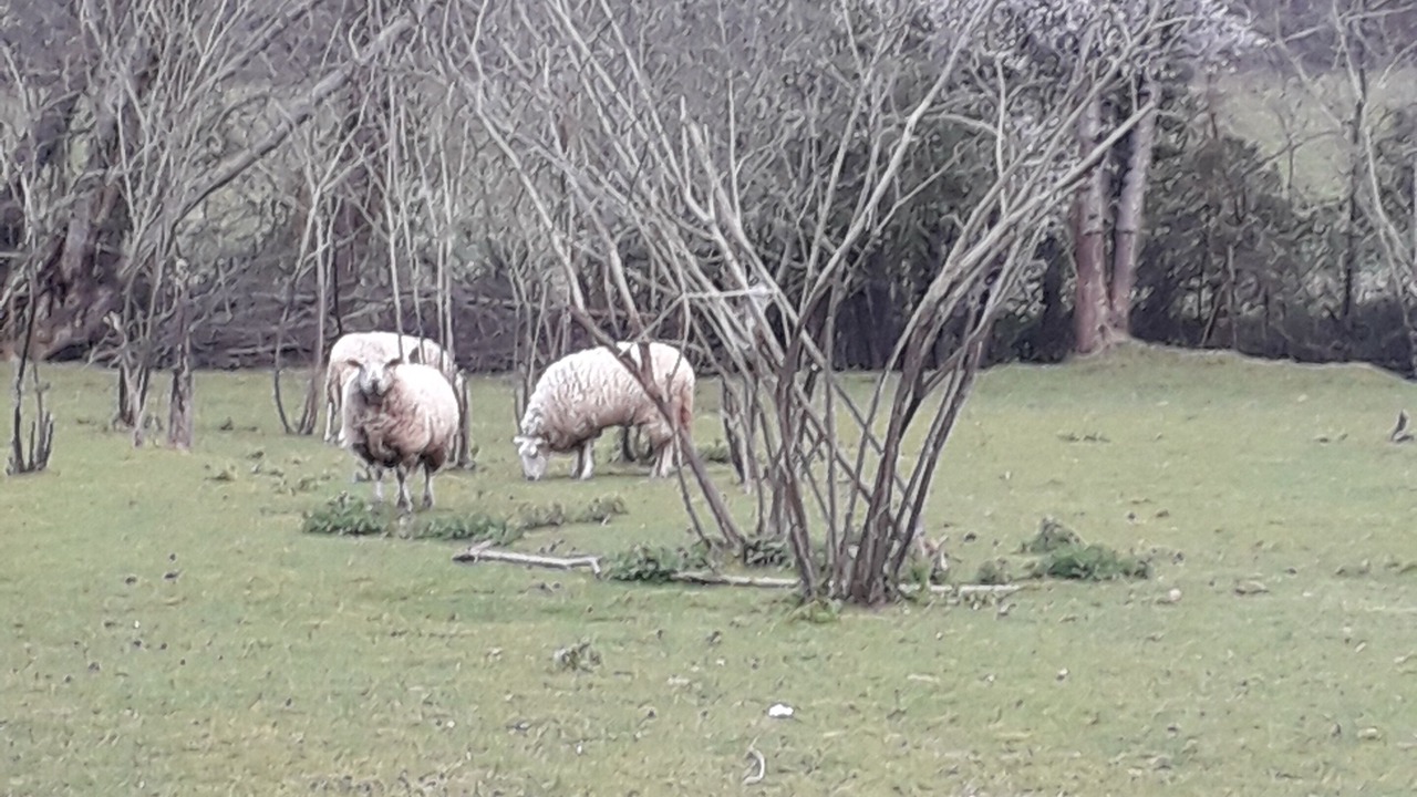 Photo of Outdoor in Laas