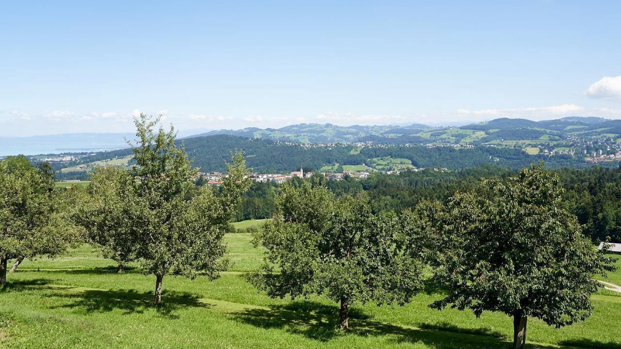 Photo of Others in Gaiserwald