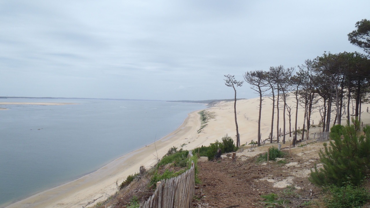 Photo of Others in Biscarrosse Plage