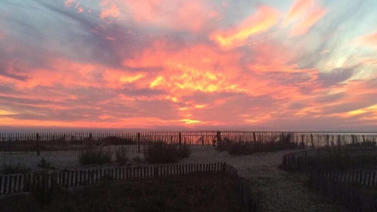 Photo of Others in Biscarrosse Plage
