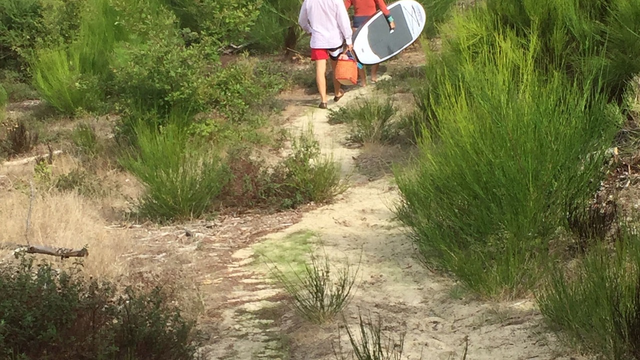 Photo of Outdoor in Biscarrosse Plage