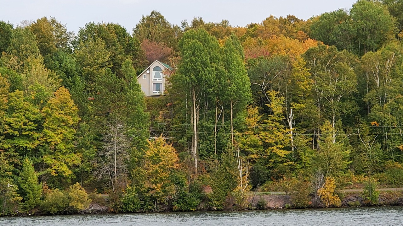 Photo of Outdoor in Dollar Bay