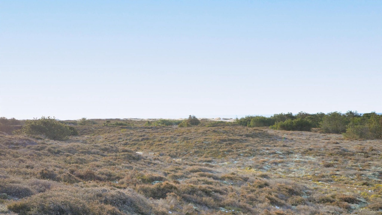 Photo of Others in Anholt