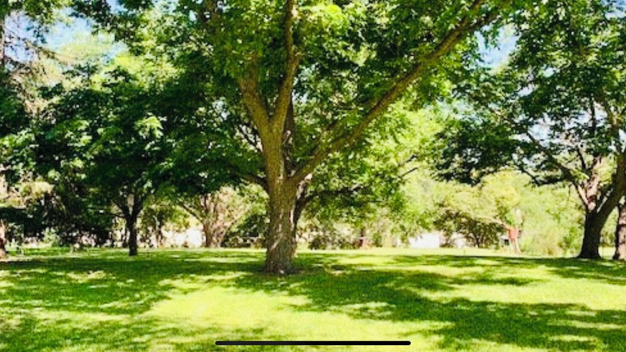 Photo of Others in Leakey