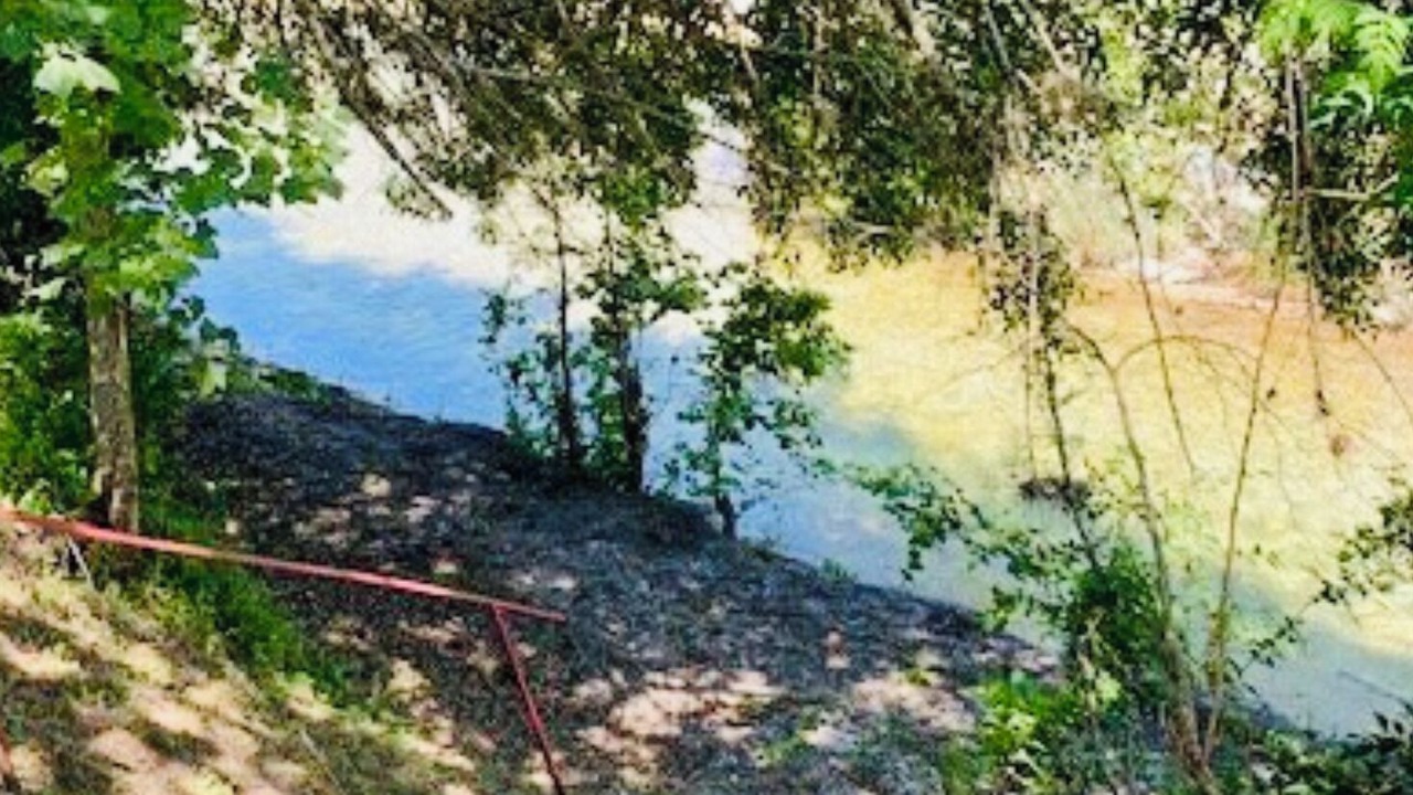 Photo of Others in Leakey