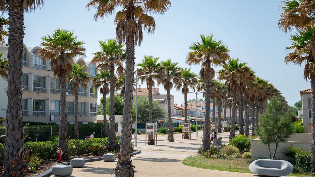 Photo of Outdoor in Marseillan Plage