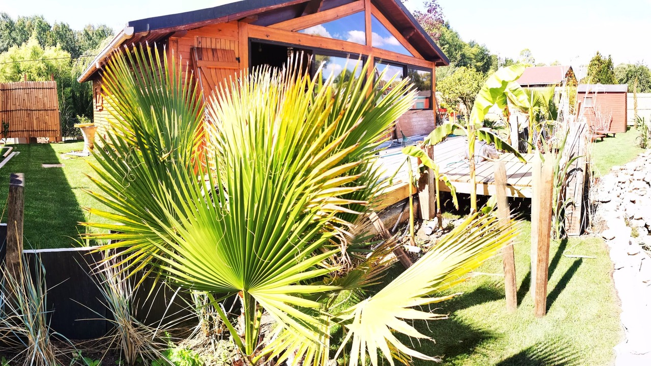 Photo of Outdoor in Muizon