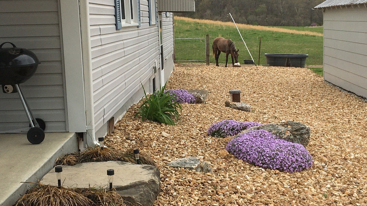 Photo of Outdoor in Cook Station