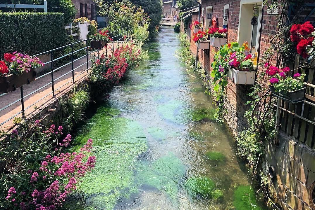 Photo of Outdoor in La Chapelle-sur-Dun