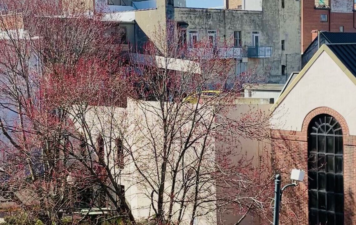 Photo of Outdoor in Downtown Asheville