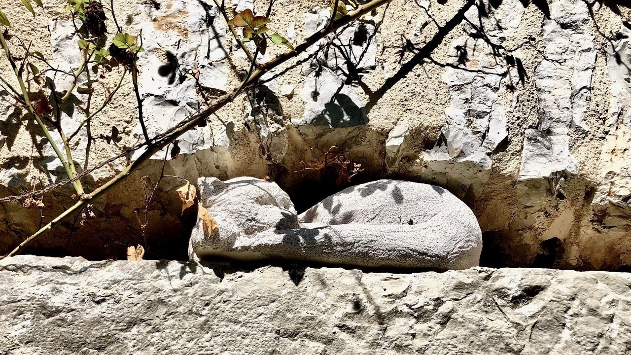 Photo of Others in Andressac