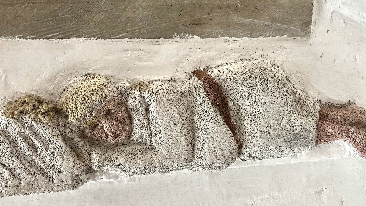 Photo of Others in Andressac