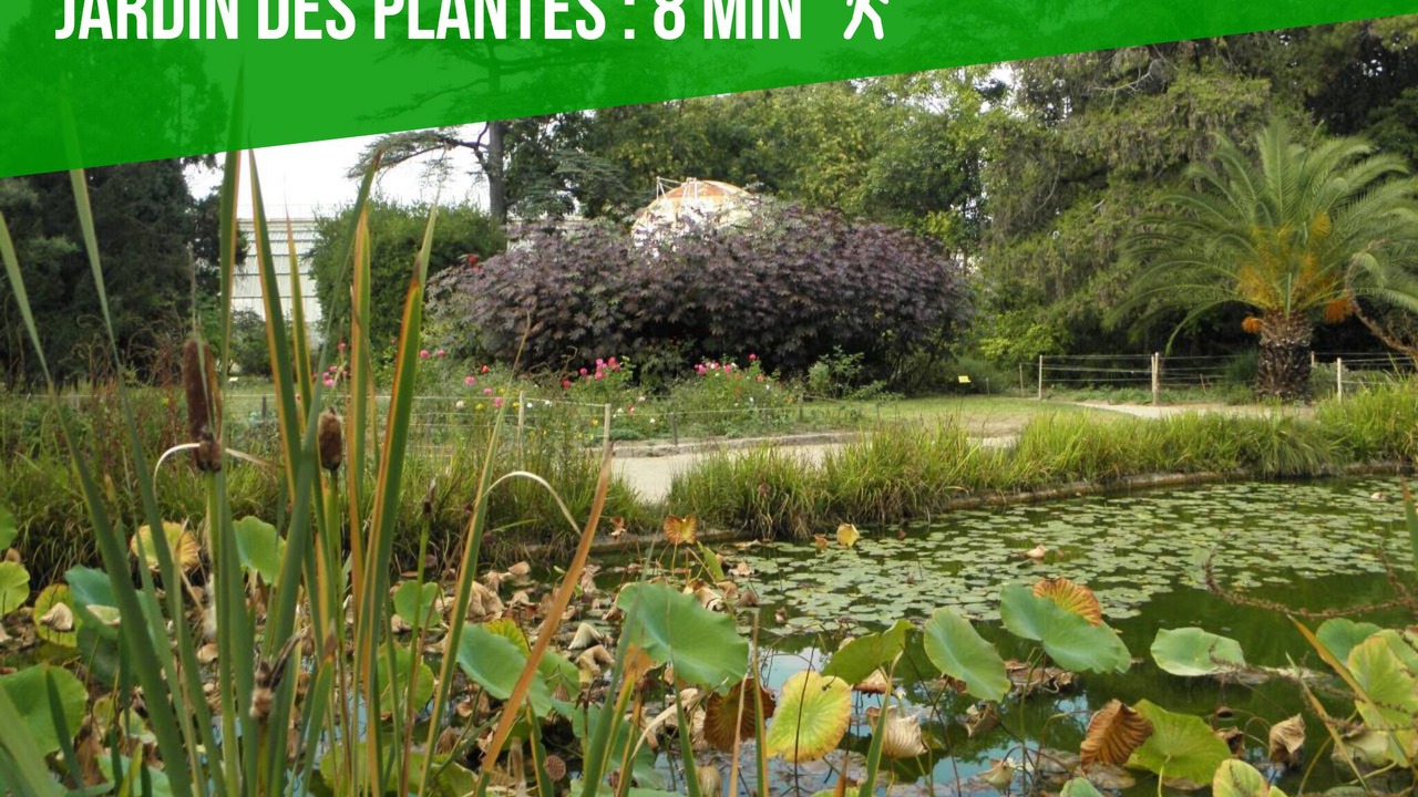 Photo of Outdoor in Les Arceaux