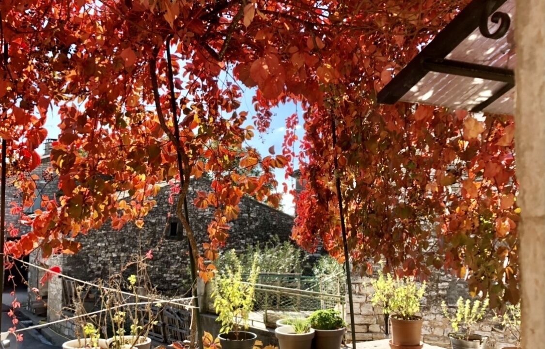 Photo of Outdoor in Orgnac-l'Aven