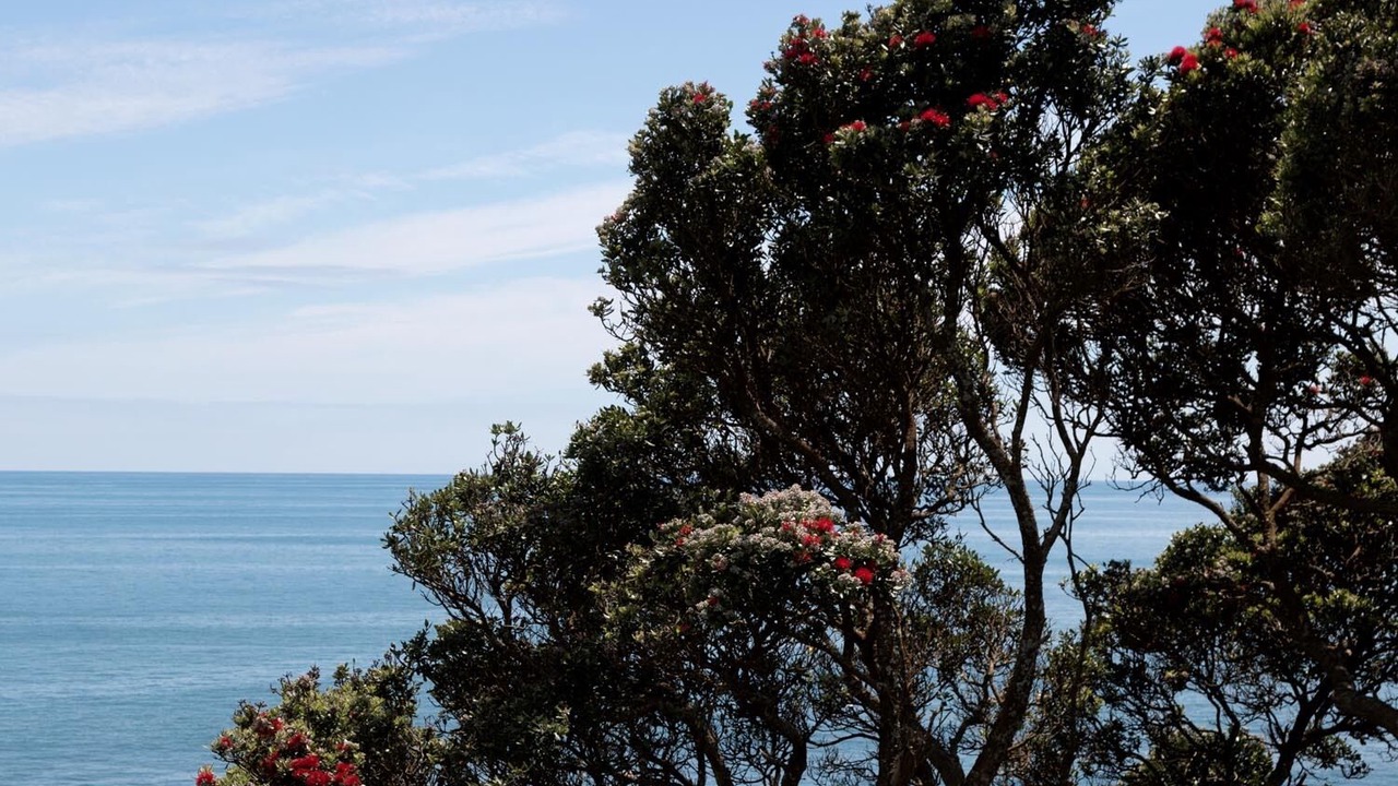 Photo of Others in Oakura