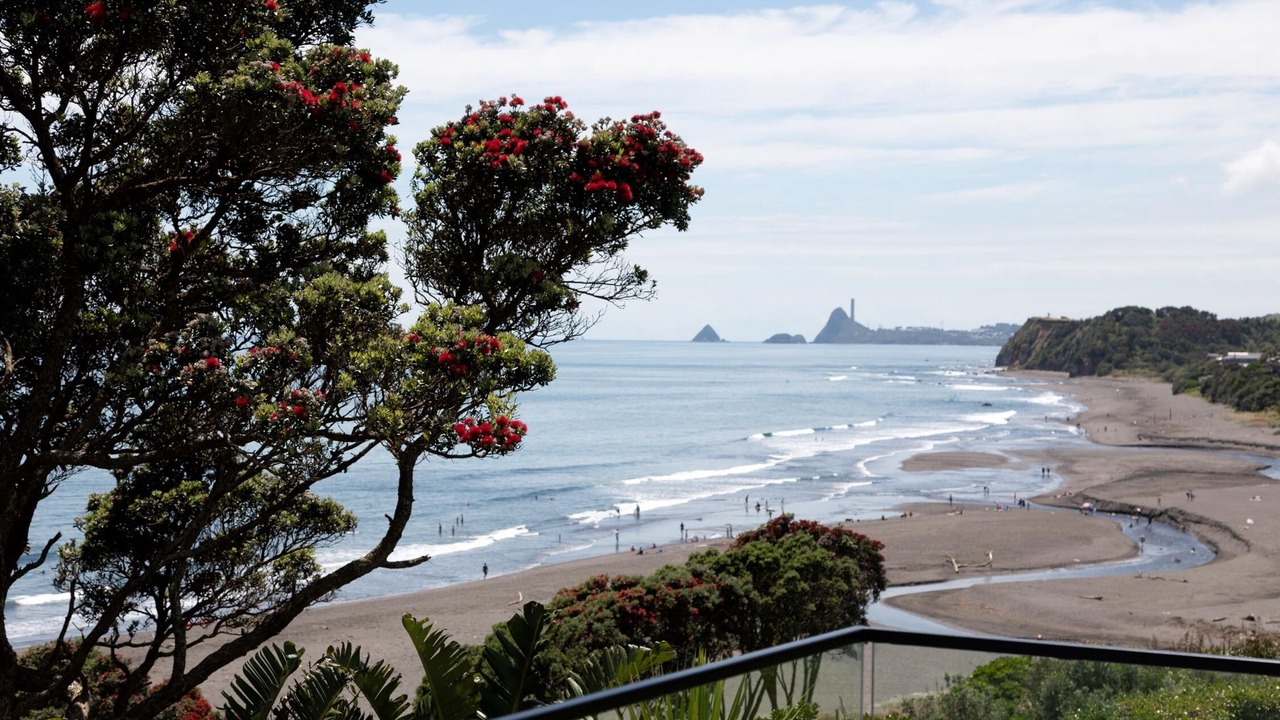 Photo of Others in Oakura