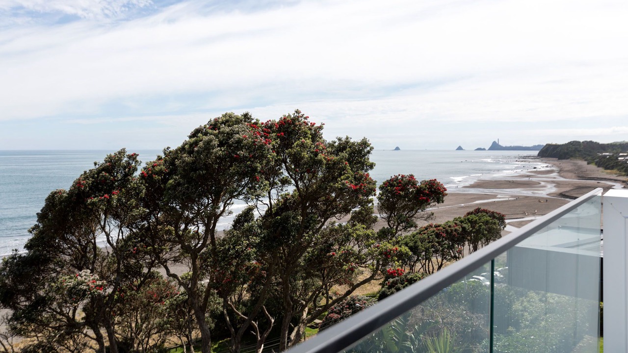 Photo of Outdoor in Oakura