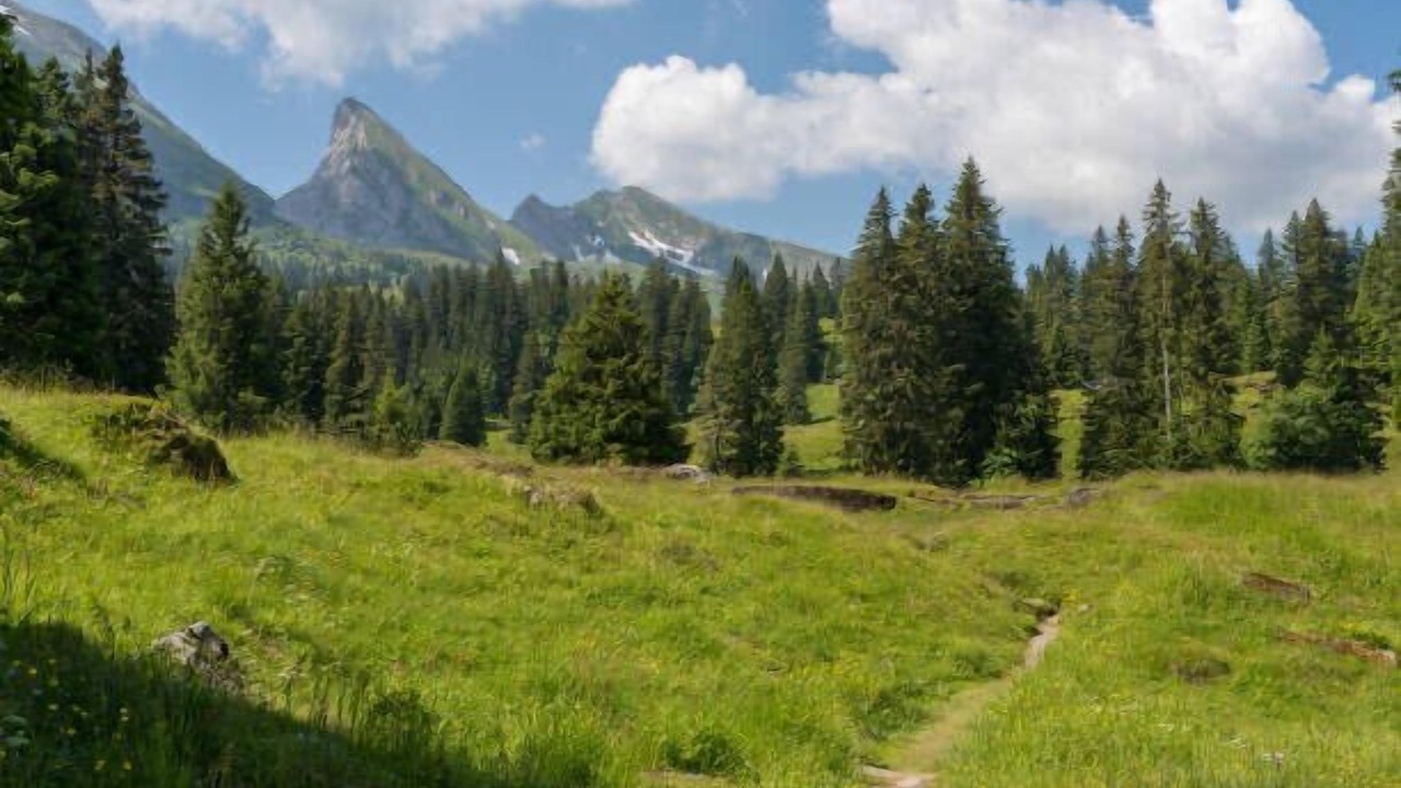 Photo of Outdoor in Unterwasser