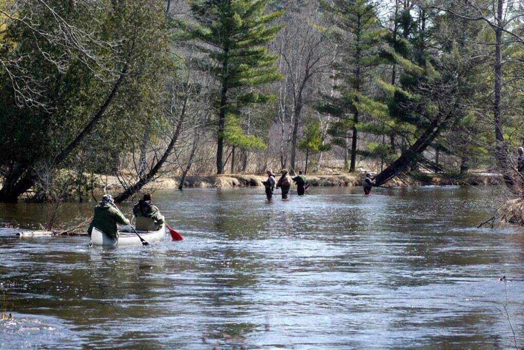 Photo of Others in Wellston