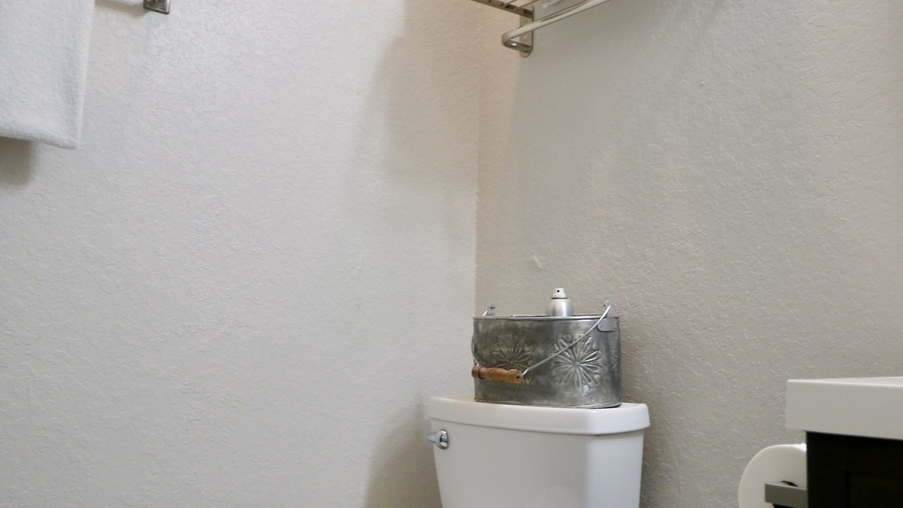 Photo of Bathroom in Downtown San Antonio