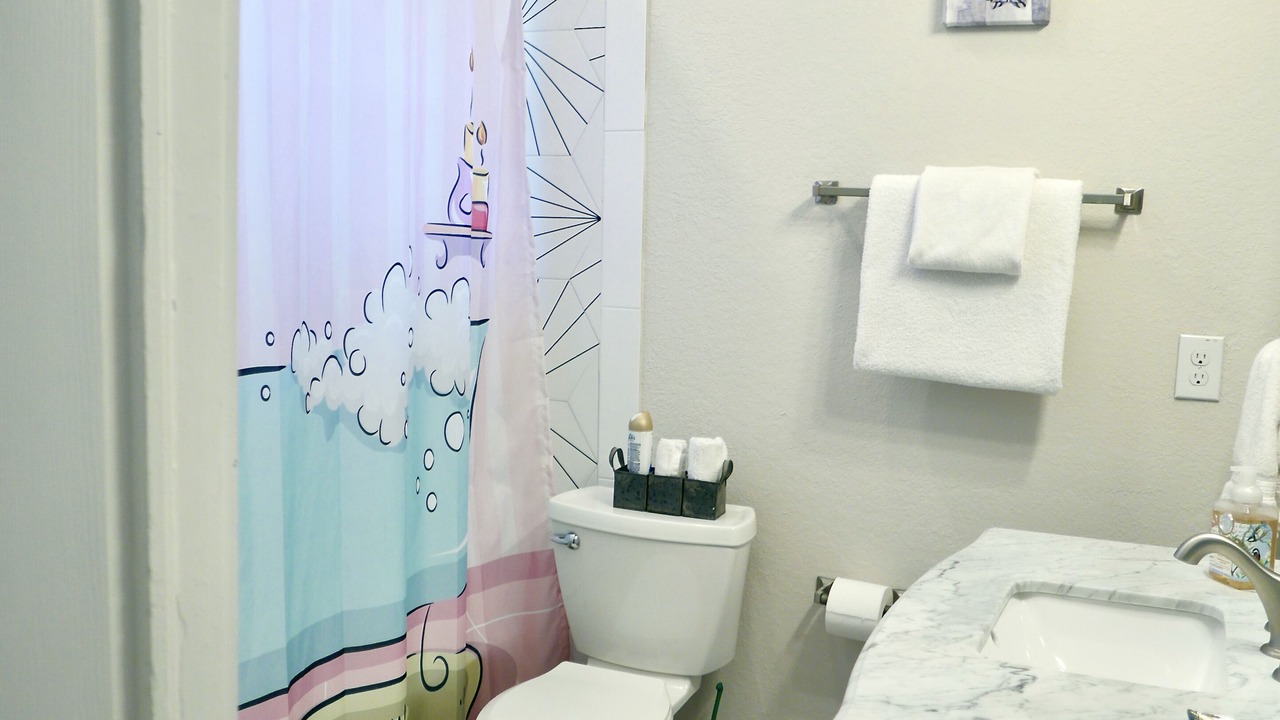 Photo of Bathroom in Downtown San Antonio