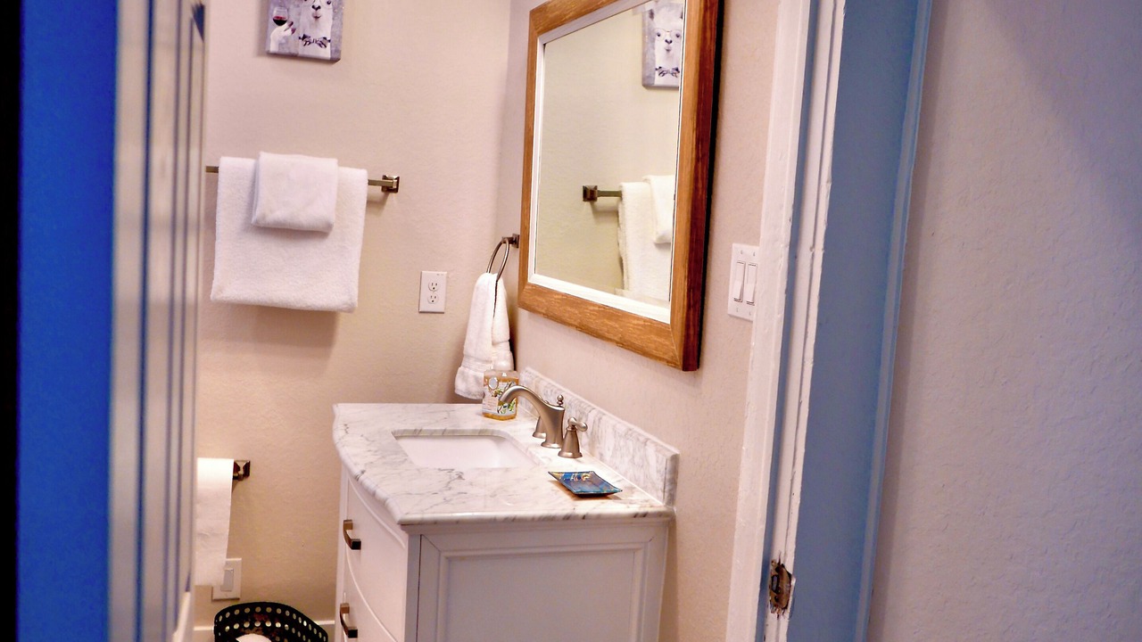 Photo of Bathroom in Downtown San Antonio