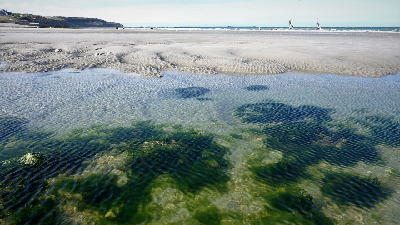 Photo of Others in Wimereux