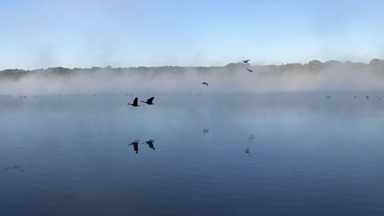 Photo of Outdoor in Wolcott