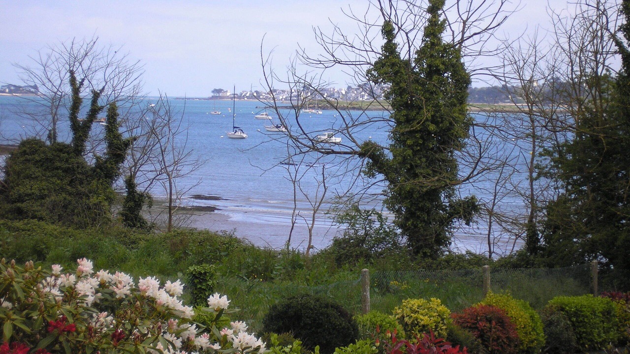 Photo of Outdoor in Saint-Pol-de-Leon