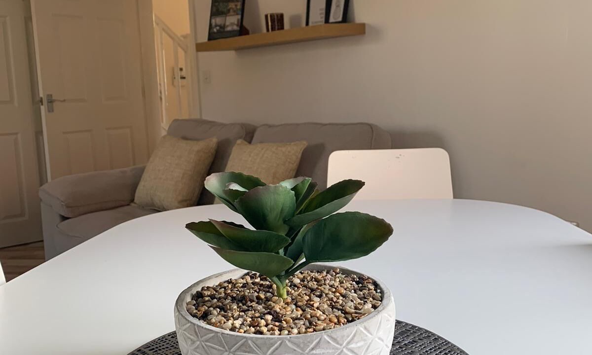 Photo of Others in Ashby-de-la-Zouch