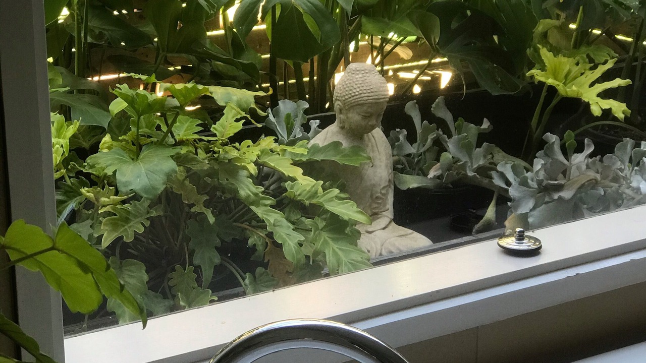 Photo of Bathroom in Barwon Heads