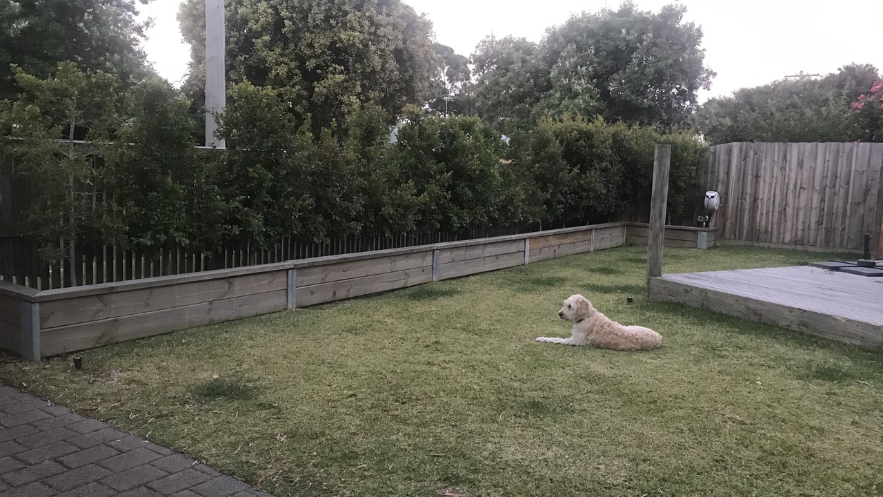 Photo of Others in Barwon Heads