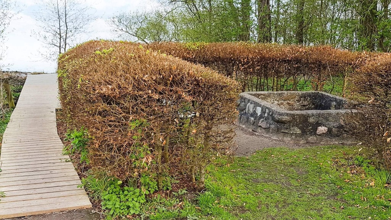 Photo of Outdoor in Kirke Hyllinge