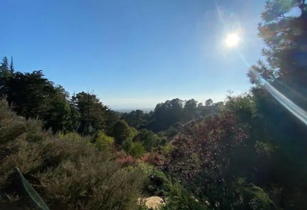 Photo of Others in Chabot Park