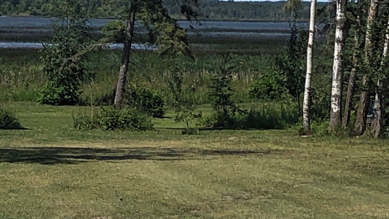 Photo of Others in Onanole