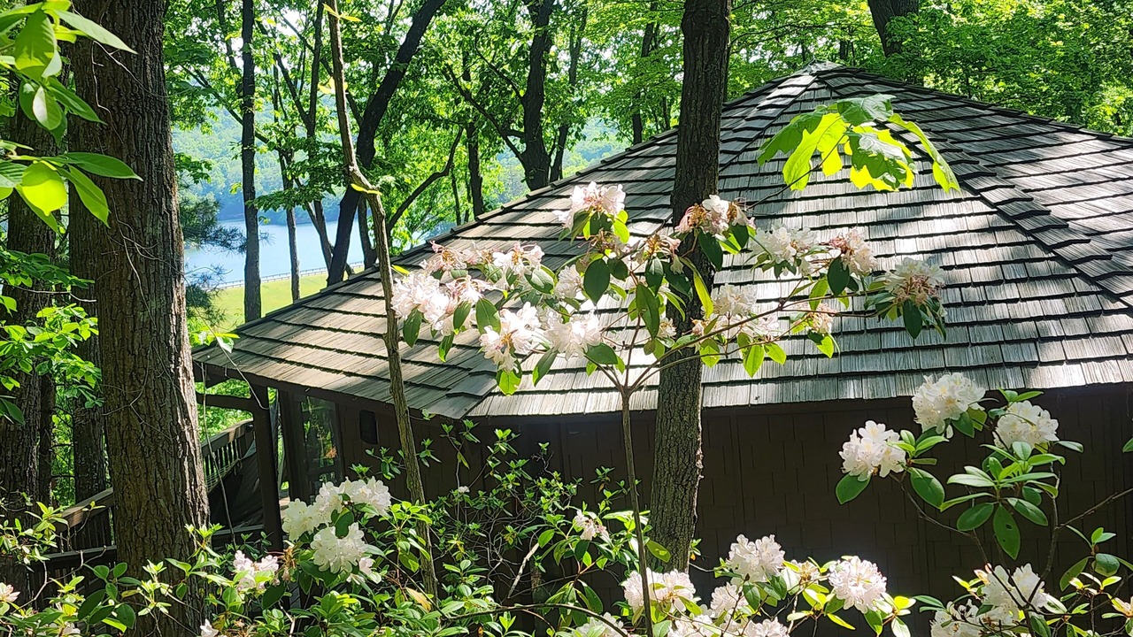 Photo of Outdoor in Big Canoe