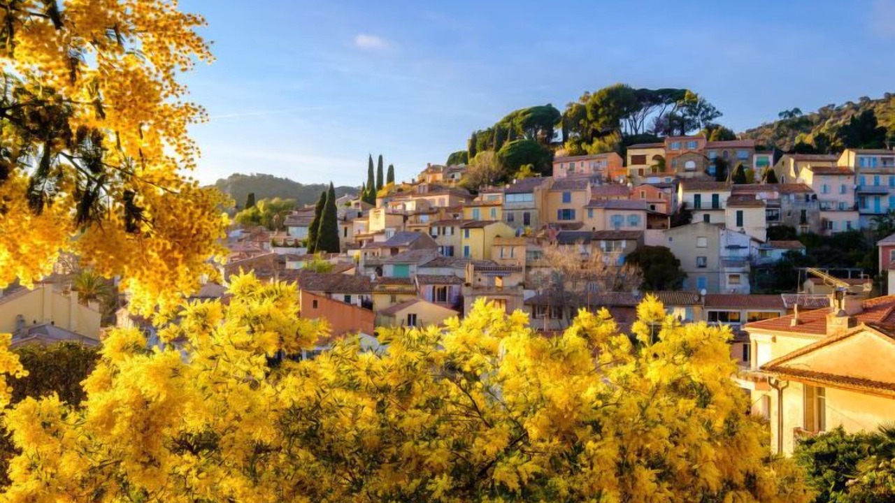 Photo of Others in Bormes-Les-Mimosas
