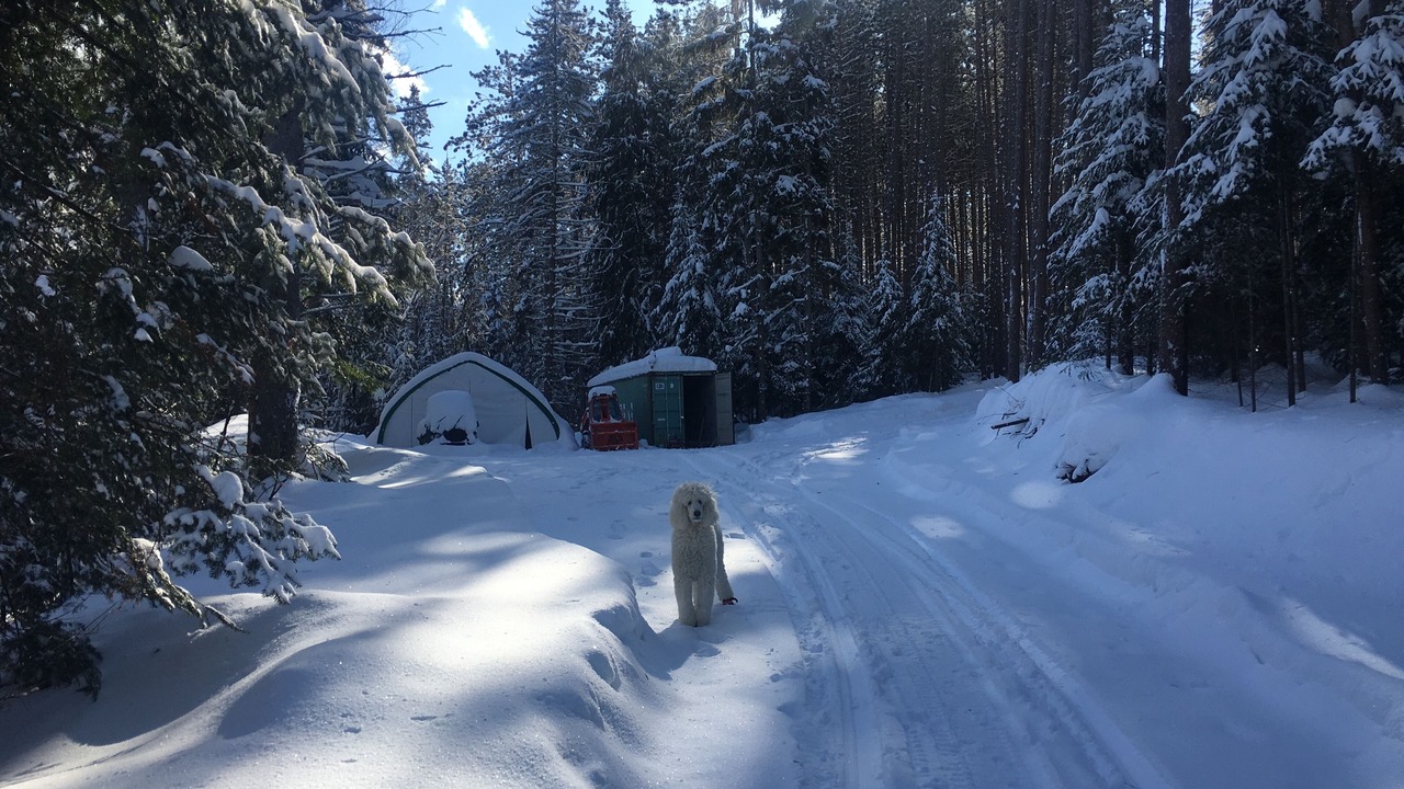 Photo of Outdoor in Strong