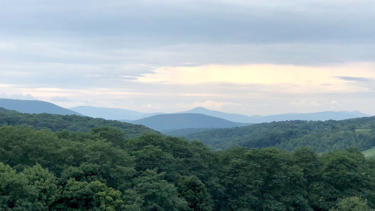 Photo of Others in Pine Plains