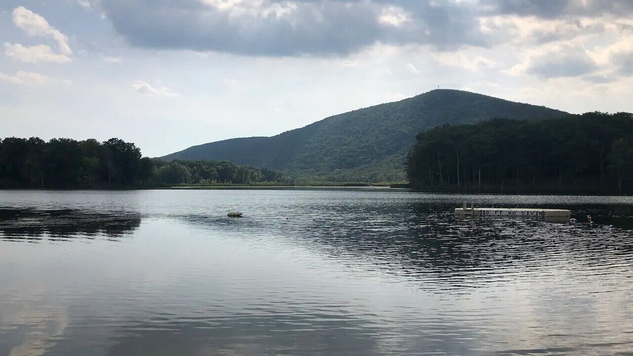 Photo of Others in Pine Plains