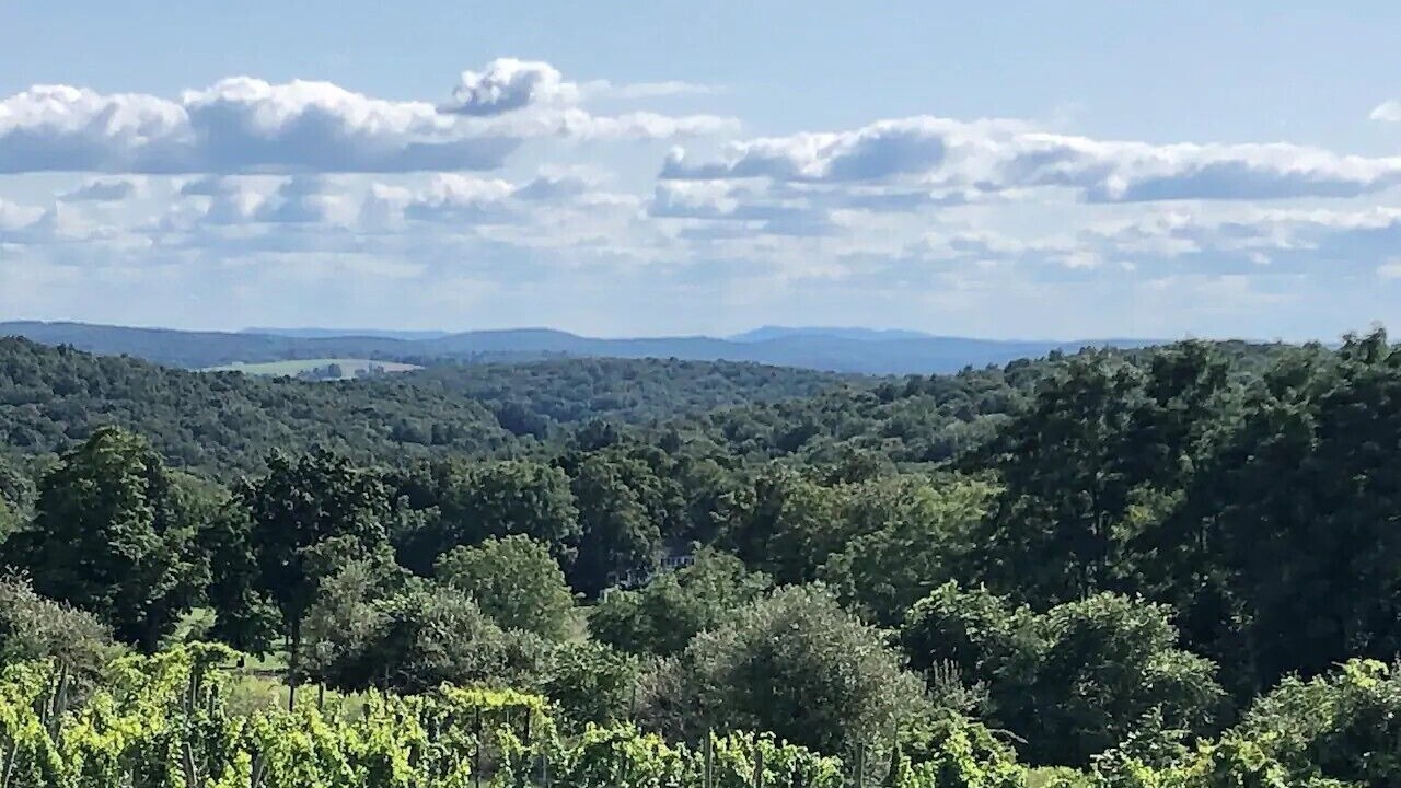 Photo of Others in Pine Plains