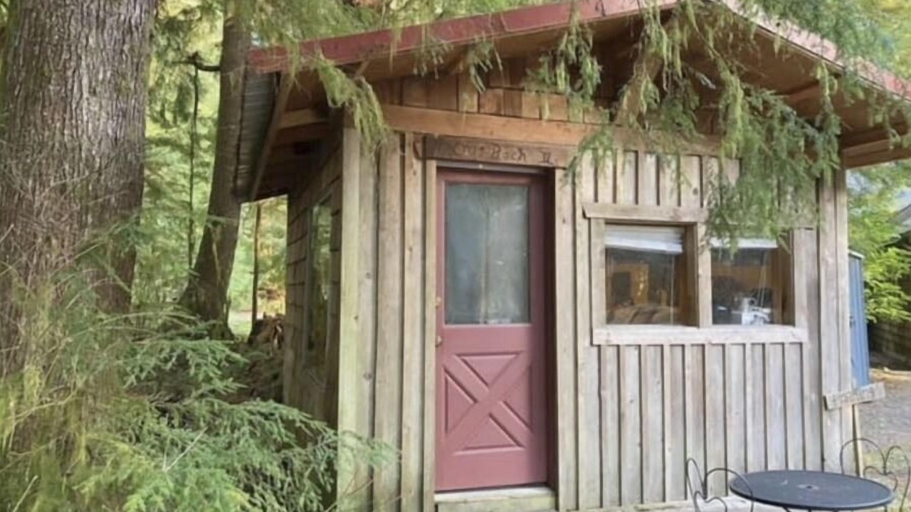 Photo of Outdoor in Forks